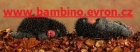 BAMBINO - v�e pro va�e nejmen��